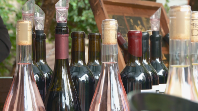Традиционните но позабравени български сортове вино набират все по голяма