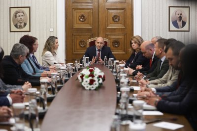 Държавният глава Румен Радев разговаря с представители на Съвета на