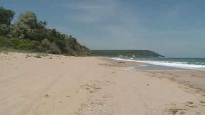 За чиста природа: Доброволци почистват дивия плаж Карадере