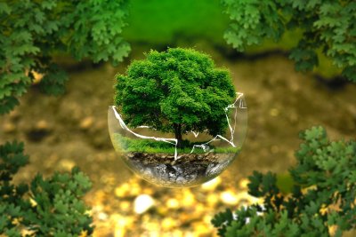 Днес се отбелязва световният ден на околната среда Редица събития