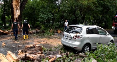 Силна буря премина през Хасково днес следобед За около 30