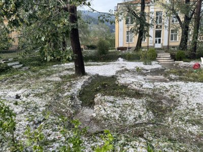 Силната буря в Казанлъшко също нанесе сериозни щети Паднали дървета