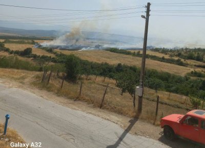 Пожар гори до пазарджишкото село Боримечково Огънят е обхванал земеделски