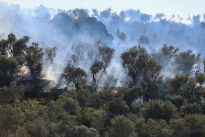 55 годишен мъж загина при пожар в Западен Пелопонес в Гърция