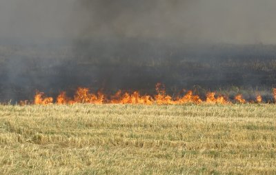 Три екипа на пожарната в Пловдив се борят с пламнали