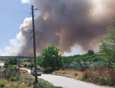Голям пожар гори между плевенските села Бръшляница Коиловци и Мечка