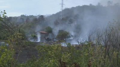 Пожар гори между град Игнатиево и село Доброглед варненско Огънят