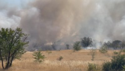 Сухи треви горят близо до Рогошко шосе в Пловдив (ВИДЕО)