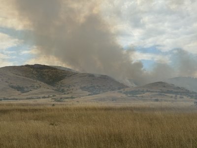Голям пожар бушува в покрайнините на бургаския кв Банево Горят