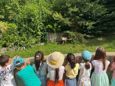 Приеха лисичета в общинска детска градина в София