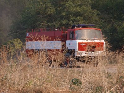 300 дка иглолистна гора се запали край Стрелча