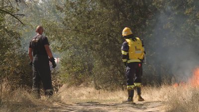 Община Варна следи с дрон опасни точки, където може да пламнат пожари