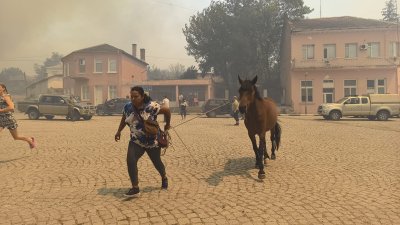 Огънят от пожара в Ямболско навлезе в село Воден