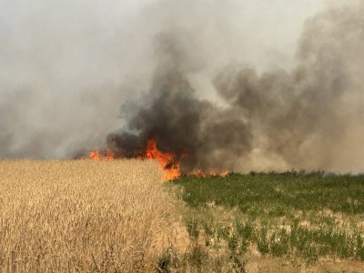 Голям пожар гори в Карловско (СНИМКИ)