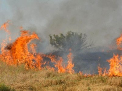 Благодарение на общите усилия на горски служители пожарникари служители и