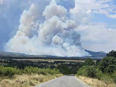 Пожарите в Югоизточна България се разрастват, евакуираха хора