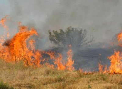 Сухи треви и храсти горяха в покрайнините на Русе Близо