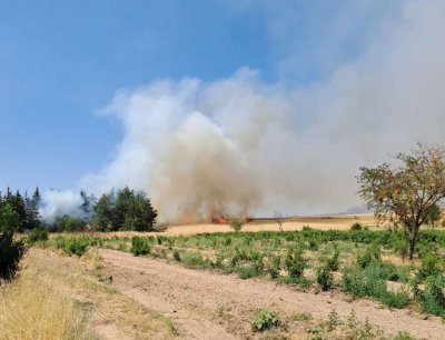Четири пожара бушуват едновременно в Пловдивско
