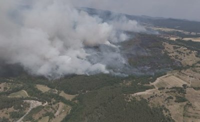 300 дка иглолистна гора се запали край Стрелча