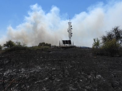 Пожарът в Сакар е овладян, в Свиленградско общината ще подпомогне засегнатите животновъди