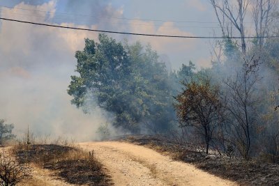 Борбата с огъня: Пожарът край Отец Паисиево гори на три фронта