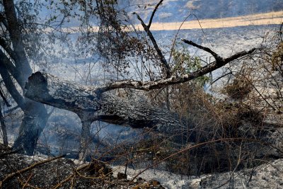 Над 50 са активните пожари в цялата страна, стихията край с. Отец Паисиево е локализиран