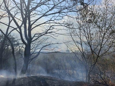 Пожарът в землището край Пловдив е потушен
