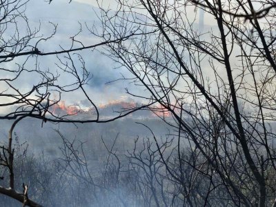 Голям пожар избухна край Кочериново в близост до дом за възрастни хора