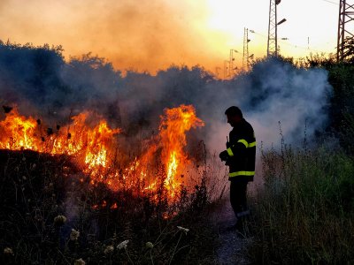 Пожар гори край селата Овчеполци и Цар Асен
