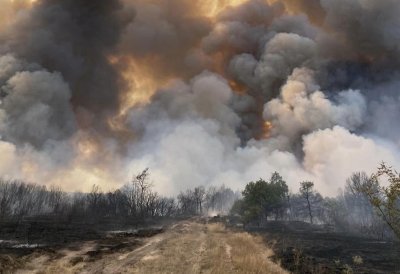 Пожар пламна в района на пазарджишкото село Априлци