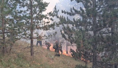 Главчев: Пожарът на границата е на около 50 м в българска територия