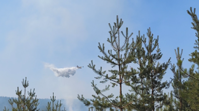 Френски самолети вече гасят пожара край българо-гръцката граница