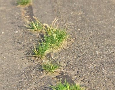 Община Златоград и Общинският съвет ще правят регистър на дупките