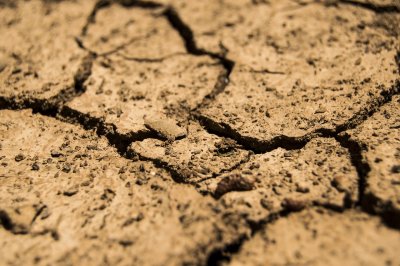 Готово ли е българското земеделие да посрещне суша?
