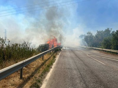 Пожар гори край Плевен