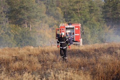 Продължава пожарът на територията на община Невестино