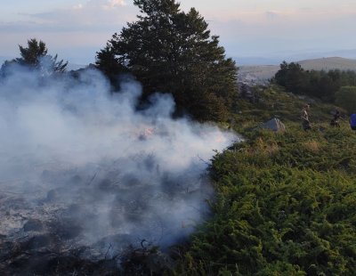 Пожарът край Чуйпетльово на Витоша е локалириран съобщиха за По