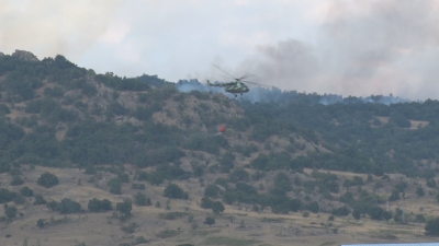 Ограничен е пожарът който пламна вчера край харманлийското село Черепово