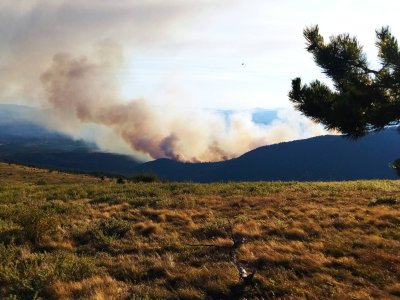 Няма опасност големият горски пожар който се разгоря вчера в