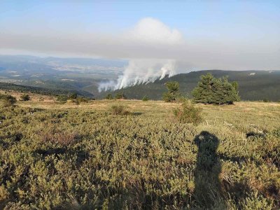 Каква е ситуацията с пожарите в Югозападна България?