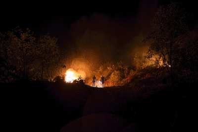 Пожар гори на територията на Турция на километър от българската