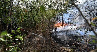 За пожар в близост до село Нови хан съобщиха от