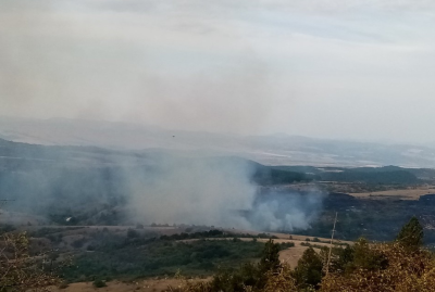 Пожар гори в района на Брезник Божурище и Сливница Огънят