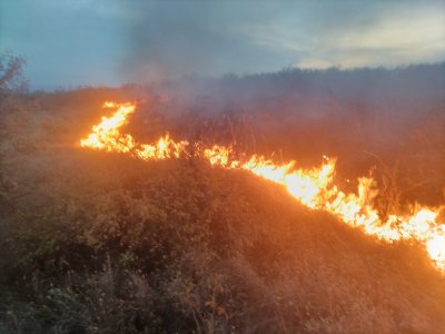 Продължава борбата с огнената стихия край село Габровница