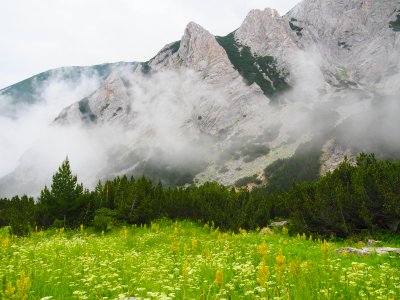 Температурите падат надолу - започват валежи и гръмотевици