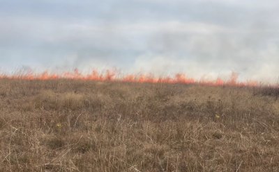 Пожар избухна днес следобед край старозагорското село Медово Горят сухи