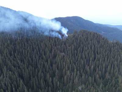 Горски пожар гори над Белово, огънят е локализиран (СНИМКИ)