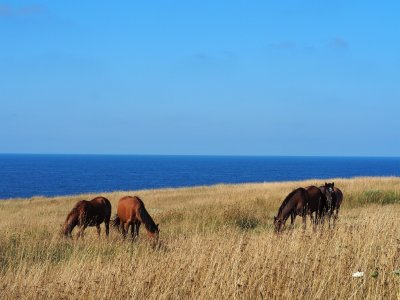 Слънчев и топъл ден ни предстои днес с максимални температури