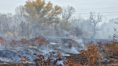 Продължава борбата с пожара в депото за утайки край садовското