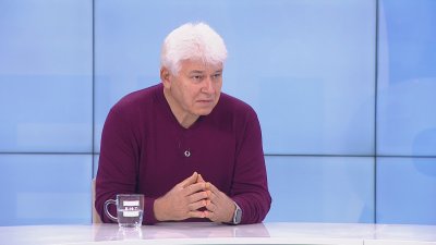 Конституционалист: В момента само президентът и 1/5 от депутатите могат да сезират КС за вота